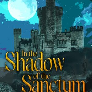 Cover of In the Shadow of the Sanctum by Dan Desai Martin